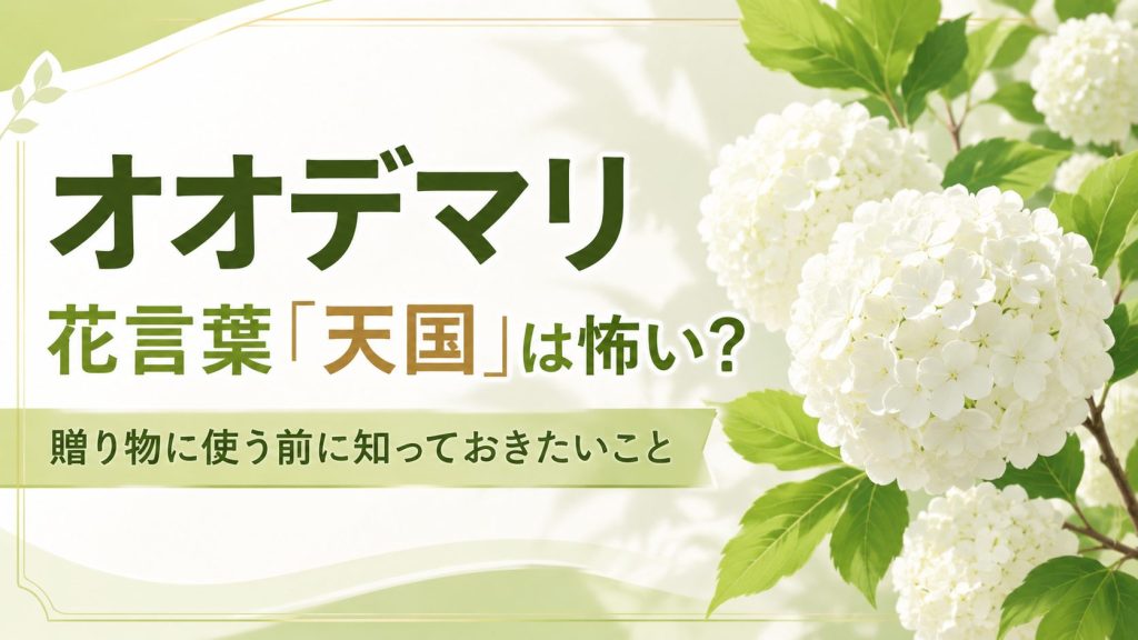 白いオオデマリの花を大きく描いた、おしゃれなフラットイラスト風のブログアイキャッチ画像。淡いグリーンとアイボリーを基調にした上品なデザインで、左側に「オオデマリ」「花言葉『天国』は怖い？」「贈り物に使う前に知っておきたいこと」という日本語タイトルを太めのゴシック体で配置している。背景にはやわらかな光と葉のモチーフがあり、ナチュラルで洗練された雰囲気。